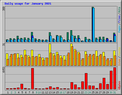 Daily usage for January 2021