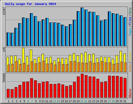 Daily usage for January 2024