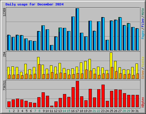 Daily usage for December 2024