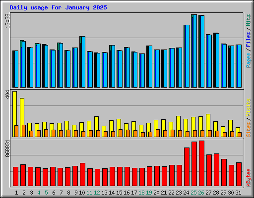 Daily usage for January 2025