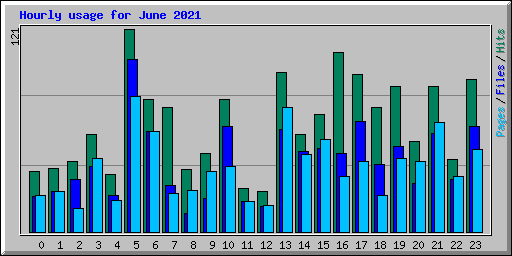Hourly usage for June 2021
