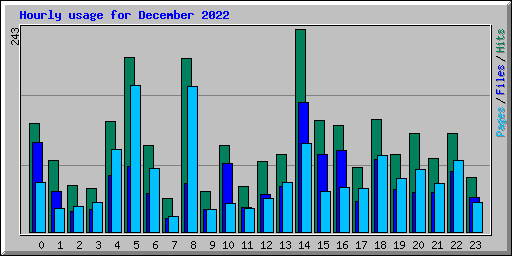 Hourly usage for December 2022
