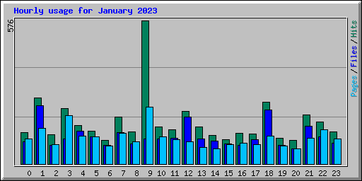 Hourly usage for January 2023