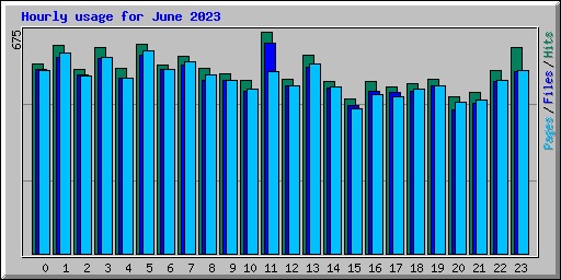 Hourly usage for June 2023