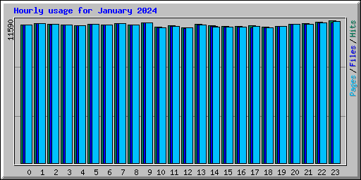 Hourly usage for January 2024