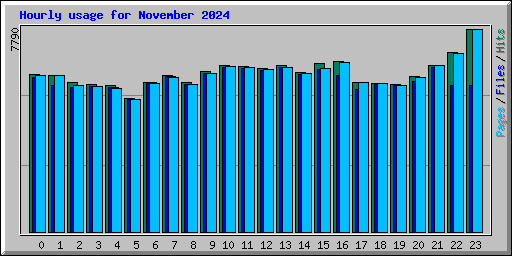Hourly usage for November 2024