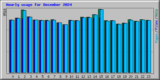 Hourly usage for December 2024