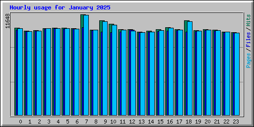 Hourly usage for January 2025