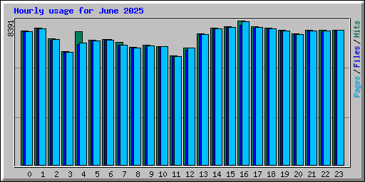 Hourly usage for June 2025