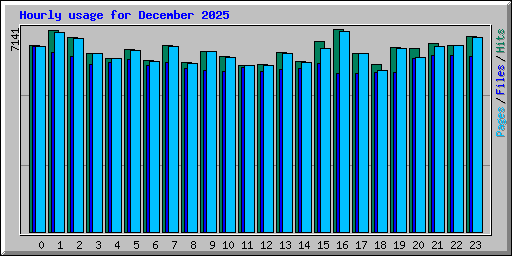 Hourly usage for December 2025
