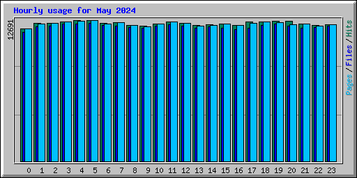 Hourly usage for May 2024