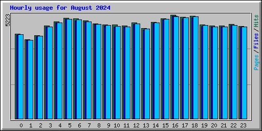 Hourly usage for August 2024
