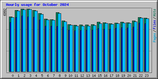 Hourly usage for October 2024