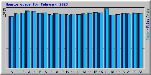 Hourly usage for February 2025