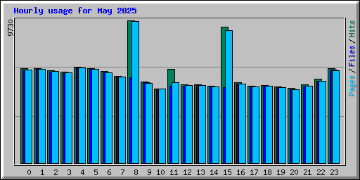 Hourly usage for May 2025