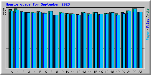Hourly usage for September 2025